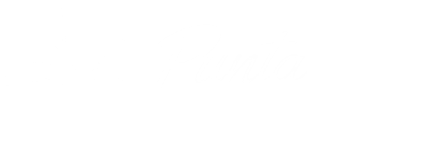Punta Cana Party Vibes